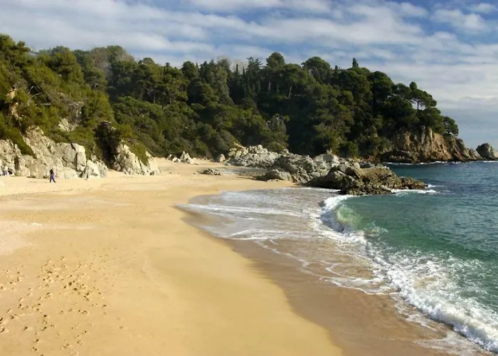 Vivalavida Playa 1km 别墅 滨海略雷特