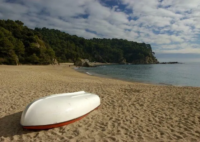 Vivalavida Playa 1km *